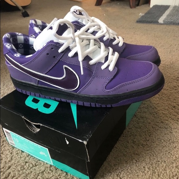 purple lobster pink laces